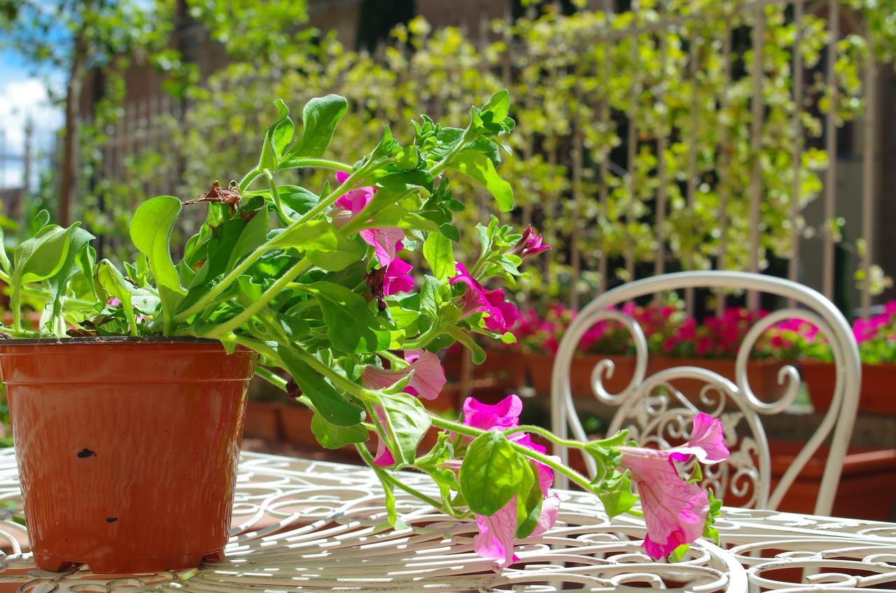 Bed & Breakfast Casalbergo Siena
